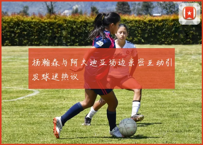 杨瀚森与阿夫迪亚场边亲密互动引发球迷热议