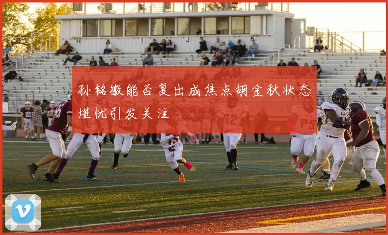 孙铭徽能否复出成焦点胡金秋状态堪忧引发关注